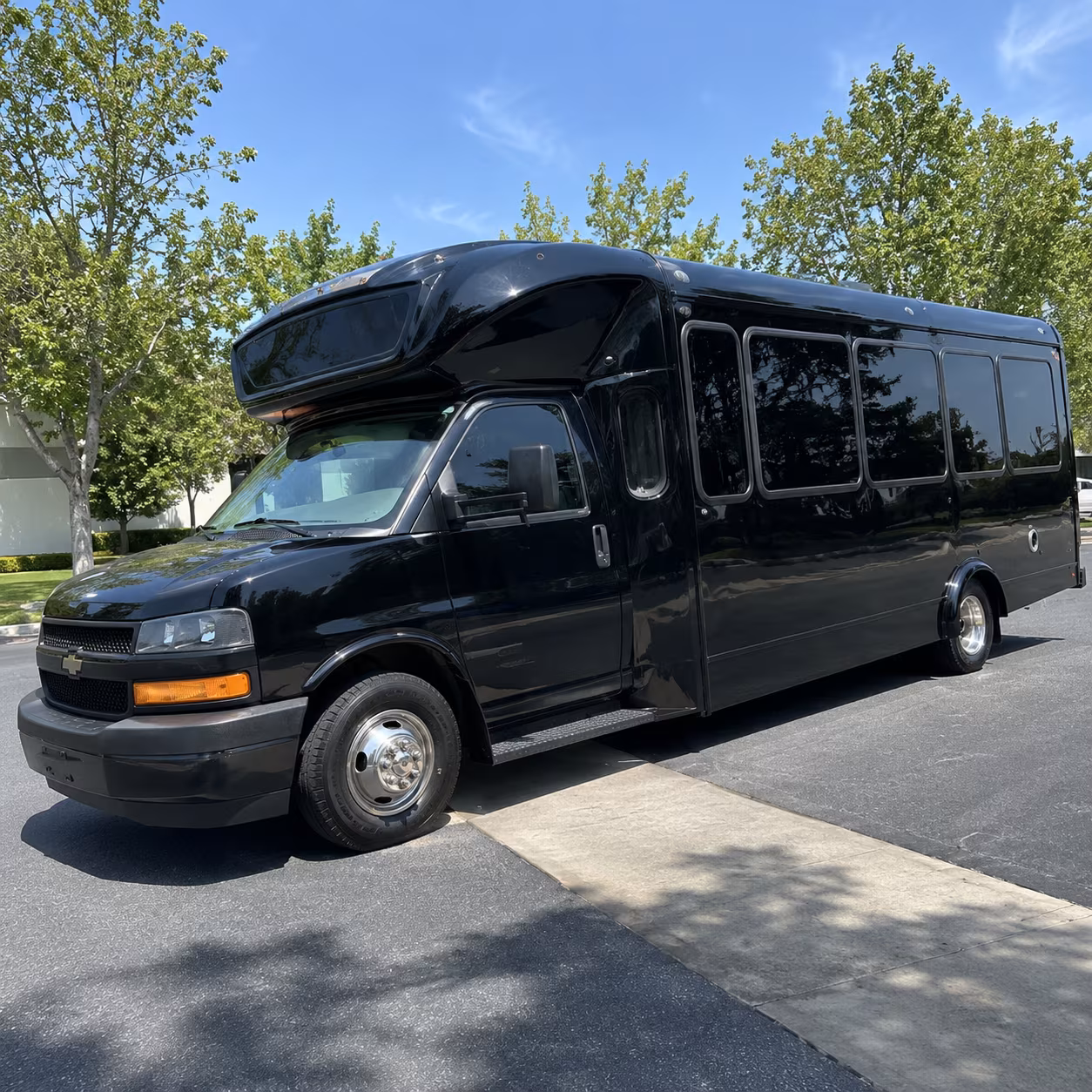 the bronx 15 passenger party bus