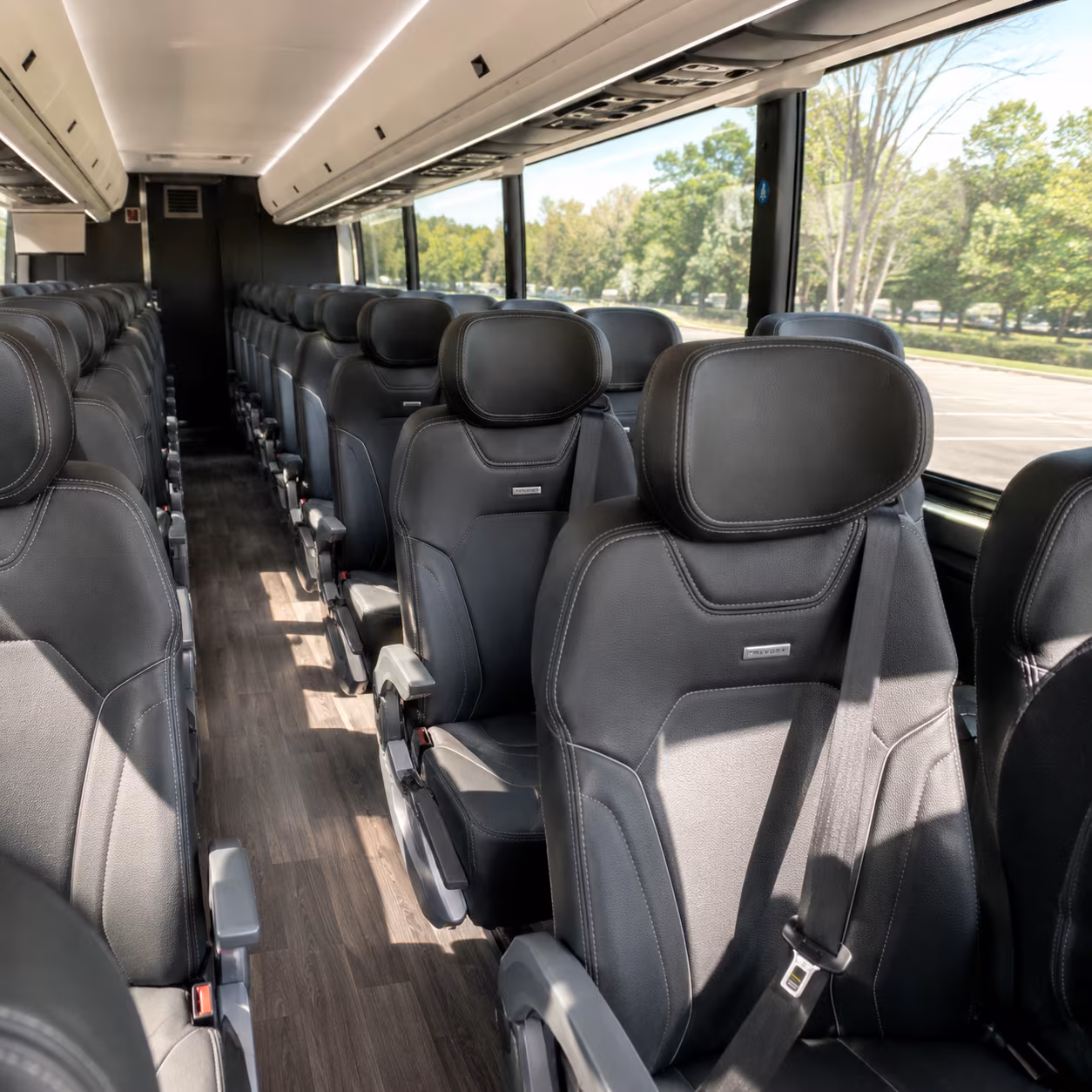 the bronx prom transportation onboard seating